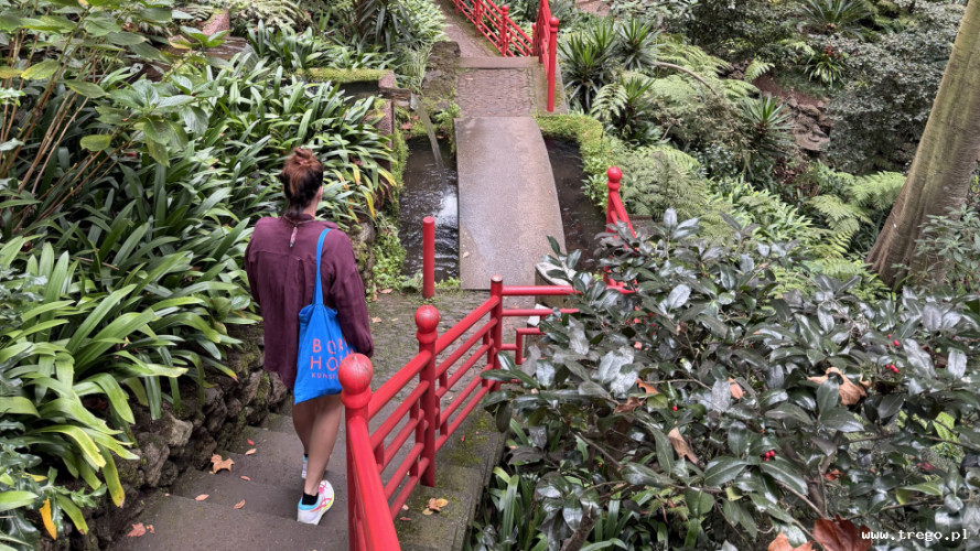 Zdjęcie z galerii posta: Zielone serce Madery – egzotyczna podróż po Ogrodzie Botanicznym w Funchal - Przyroda