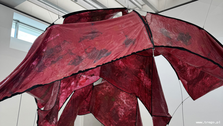 Zdjęcie z galerii posta: Muzeum Sztuki Nowoczesnej w Warszawie – przestrzeń dialogu, sztuki i współczesności - Kultura