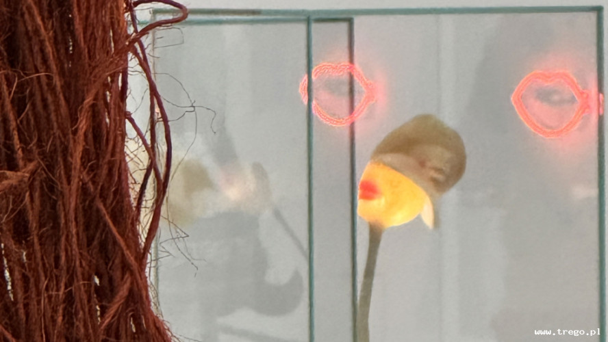 Zdjęcie z galerii posta: Muzeum Sztuki Nowoczesnej w Warszawie – przestrzeń dialogu, sztuki i współczesności - Kultura