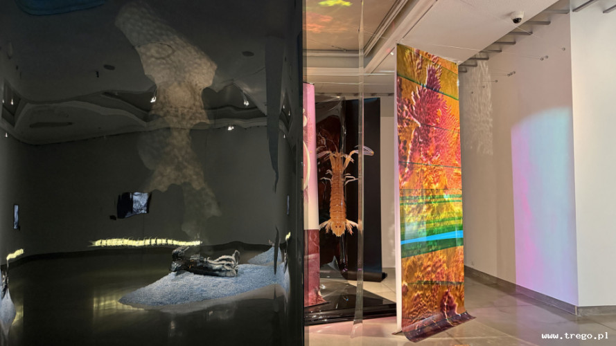 Zdjęcie z galerii posta: Galeria Miejska w Sopocie – miejsce spotkań ze sztuką współczesną - Kultura