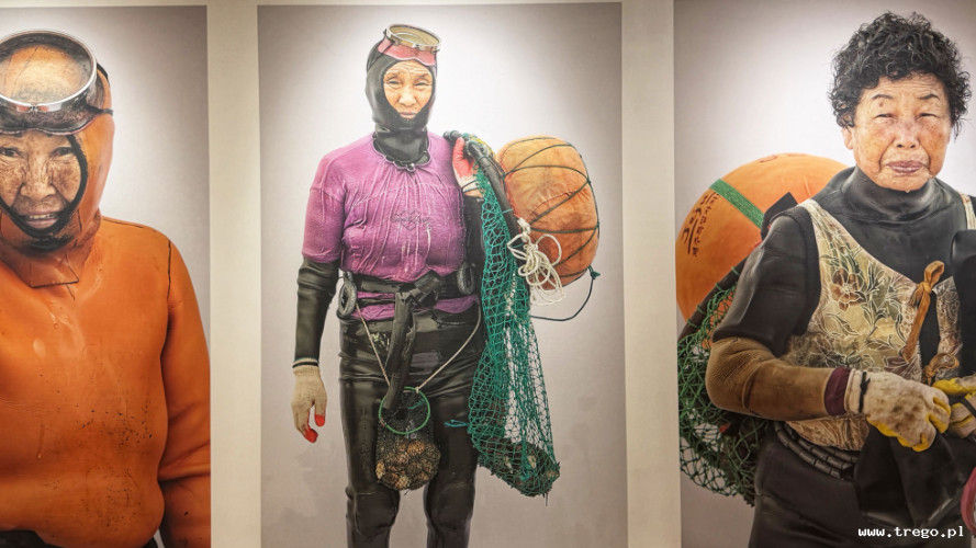 Zdjęcie z galerii posta: Galeria Miejska w Sopocie – miejsce spotkań ze sztuką współczesną - Kultura