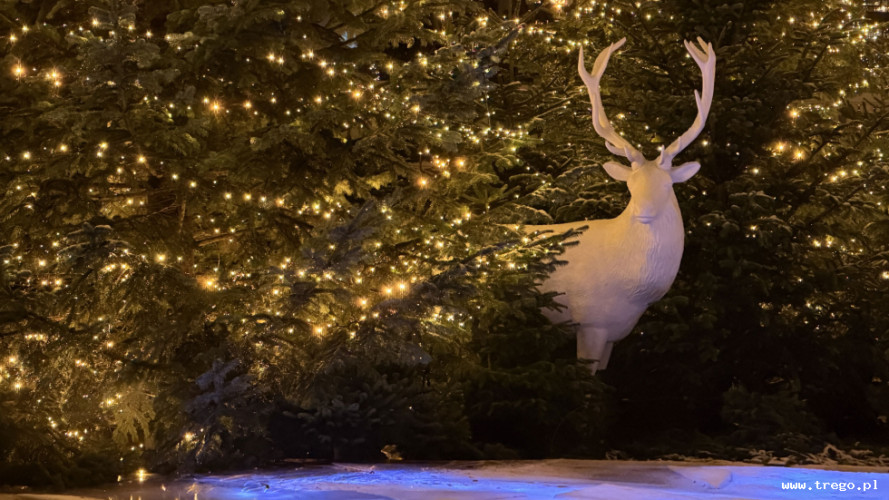 Zdjęcie z galerii posta: Jarmark świąteczny w Kopenhadze – magia Tivoli - Podróże