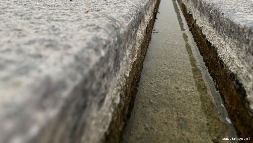 Zdjęcie z galerii posta: Bornholms Kunstmuseum – sztuka wyspy, szkoła bornholmska i architektura w sercu natury - Kultura